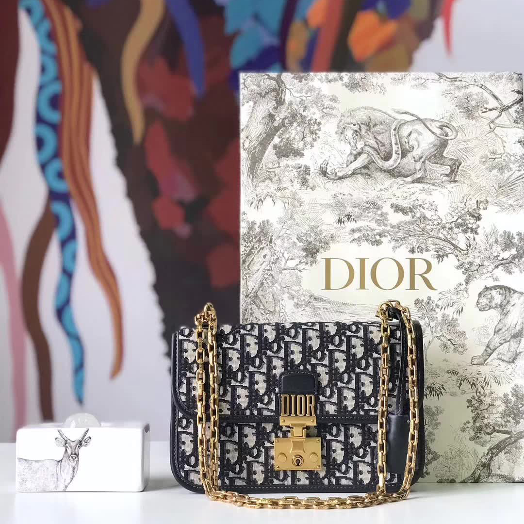 【原版皮】迪奥/Dior 链条包，选用Oblique提花帆布搭配同色系牛皮皮革裁制而成，饰以不规则珠片，很有年代感，搭配链条肩带，真是perfect