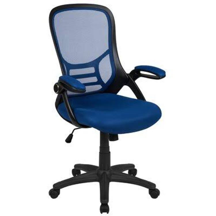 High Back Ergonomic Mesh Executive Chair Ebern Designs Upholstery Color: Blue